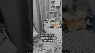 У нас никого нет, вам показалось😅