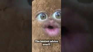 The Bestest Advice Ever!!!