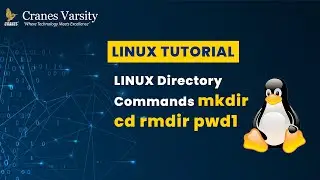 Linux Directory Commands  mkdir cd rmdir  pwd 1