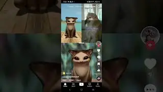 пёс...