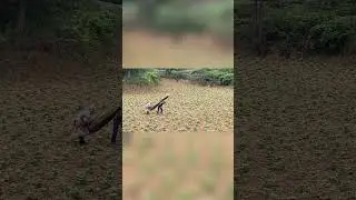 🍀這是貴州省納雍縣山區。一對年邁的夫妻在艱難地為生活奔波。在這些山區，有未成年孩子的，要靠他們微薄的農產品收入養活；進城務工的孩子也要靠他們養活。中國好幾億年輕人依然靠父母而無法在城市獨自生存。