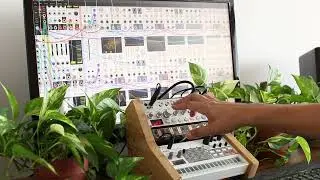 Generative VCV Rack with Volca Bass