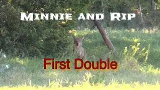 Minnie and RIP my pups First Double