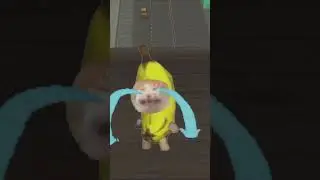 Small Banana Cat ＆ Apple Cat Nextbot Gmod 🍌😹