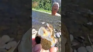 Beautiful Agate in Host Rock #shorts #agate #rockhounding