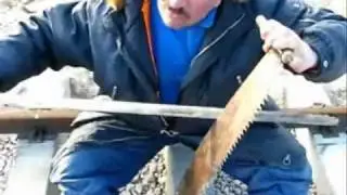 Скрипка Сталевари, 17 век.