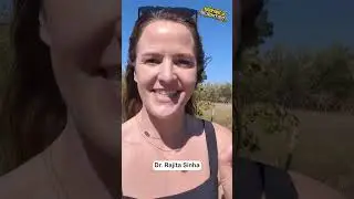 Kate The Chemist gets tips from Dr. Rijita Sinha on dealing with STRESS! #podcast #stressmanagement