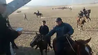 1 ноября 2019 г.
