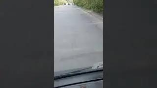 Газельваген