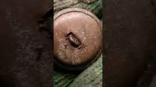 Нашёл пуговицу солдата. #metaldetecting #metaldetectingchannel #history #treasure #how #army