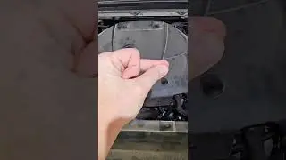 Химчиска моторного отсека в Гродно #automobile