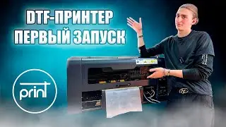 Инструкция: Запуск DTF принтера на примере SANTOS 2*xp600 