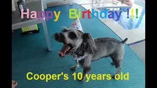 Cooper's Birthday Party He's 10 years old