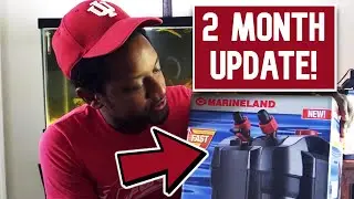 Marineland Canister Filter Maintenance and Review (Was it worth it?)