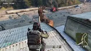 DAYZ PVE | LIVE AND SURVIVE PVE | FIRST SWEEP 3 LEVEL | MEETING WITH A PSEUDO-GIANT