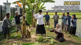 Pak Haji Tega Tebang Pohon-Pohon Pisang Janda Tua Miskin, Hingga Balasannya Bikin Merinding.