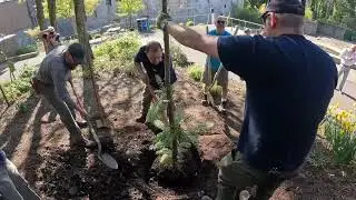 Rare Dinosaur Tree Is Growing At The Zoo