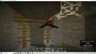 Pająki moje nemezis