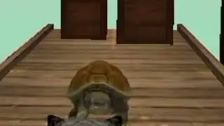 🐢