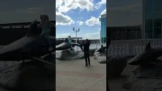 Фотозона "Акулы" в Геленджике