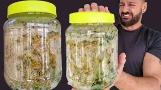 I'm opening a terrarium that's been closed for 3 years 🤮 - Homemade sand ant farm | The World of ...