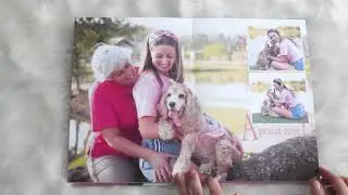 Ensaio e Álbum (Amor PET)