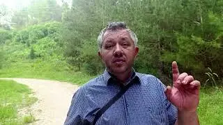 Баптист в законе. О празднике Песах -2