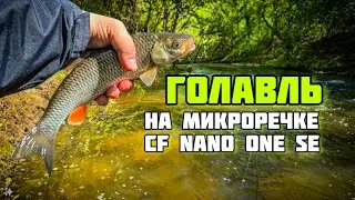 ЗДОРОВЫЙ ГОЛАВЛЬ на Rigge 35f | СF NANO ONE SE на микроречке