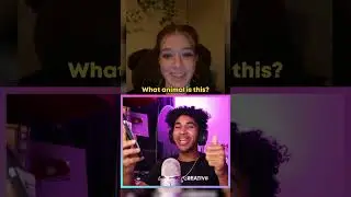The Best Game Show On Omegle 😂😂