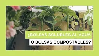 Bolsas compostables