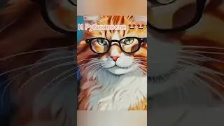 обработанный Рубик 🤩🤩🤩 #cat #shorts #обработка