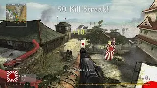 Call of Duty: World at War - 50 Killstreak on Castle [No Commentary]