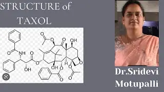 STRUCTURE OF TAXOL