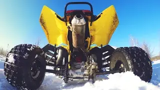 #5 Подготовка к сезону 2017 обкатка тест-драйв Suzuki LTR 450 Квадроспорт