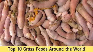 Top 10 Gross Foods Around the World