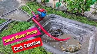 #Small water pump # Fishing exciting # miniature project for kids