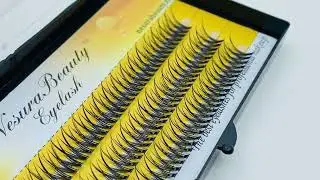 NesuraBeauty Swallowtail 20D 11mm 2H