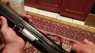 Брэда ксантос.Новая подружбайка.