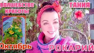 КЛУМБА-РОКАРИЙ💖