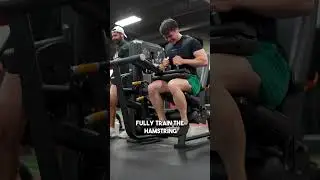 This HAMMY Machine Is 💩