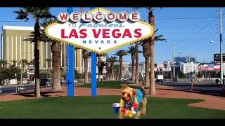 What happen in Vegas stays in Vegas!!!!