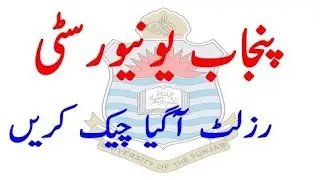 Punjab University Result Announced | Check Results | PU Result Announced 2021 | Results B.com