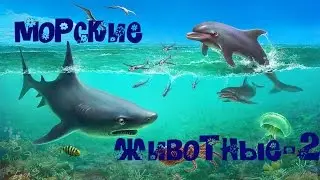 Сегодня мы с вами узнаем какие бывают МОРСКИЕ ЖИВОТНЫЕ и играем вместе 2