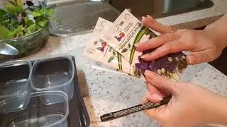 100% WILL RISE | IT'S TIME TO SOW EUSTOMA