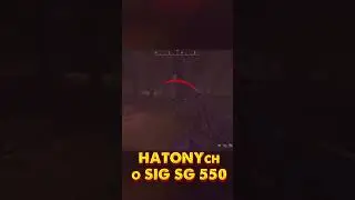 О штурмовой винтовке SIG SG 550 