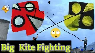 Big Kite 25 Tawa V/S Small Kite Fight Khich on Basant Day Kite Looting
