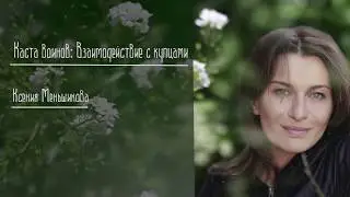 Каста воинов взаимодействие с купцами