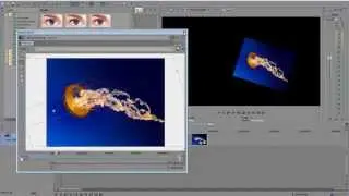 Sony Vegas Pro 12 | Motion Blur