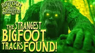 The Road's End | Bigfoot: The Road to Discovery