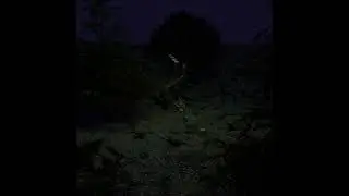 Танец скелета на поляне в лесу